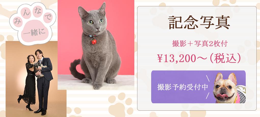 http://www.tobu-photo.com/miyashita/blog/2026/10/post47.html｜その他記念写真 記念写真